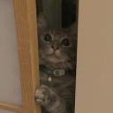 ひろあきの写真