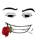 nopalllx