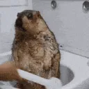 kaminocrypto