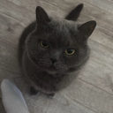 Discord Avatar