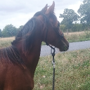 avatar 𝘀𝔀ɇɇ𝘁ɠɩ𝐨𝐨ｍ