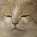 Mariyan's Avatar