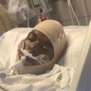 avatar King Backdoor Baby 5lime🐍 💕