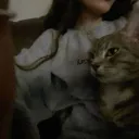obzl