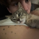 avatar ☨ Seidenarc