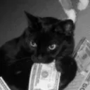 ggthecool