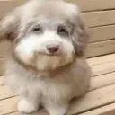 bastian00925