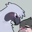 birdpathy