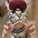 avatar ʕ•̫͡•ʔ𝕋𝕦𝕔𝕜𝕖𝕣