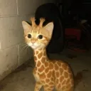 unkn0wnz._