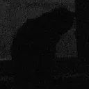 Аватар admin7596