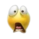 lepadpl