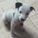 avatar Dr God✨🎀