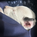 avatar Dr God✨🎀