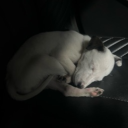 avatar Dr God✨🎀