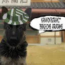 kosi_nik