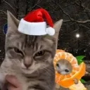 Аватар bloptop_8