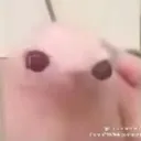 deviantblob