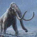 parkgyeong_seok avatar