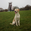 avatar Nineandthreequarters