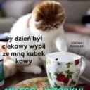daria25436