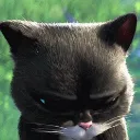 lymoow