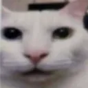 elmata_abuelitas avatar