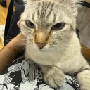 avatar ♂Take it boi ♂