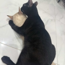 avatar ♂Take it boi ♂