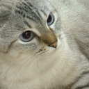 avatar ♂Take it boi ♂