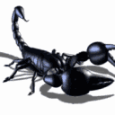 ludorbien