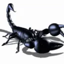 ludorbien