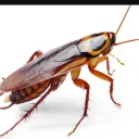 Аватар tyk5074