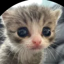 smrcat
