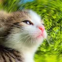 smrcat