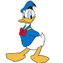 danikundazo5499