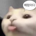 sian9959
