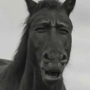 avatar Budak korporat