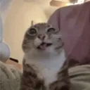 Аватар ch_ronium