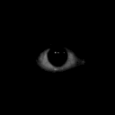 pfp