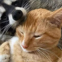 avatar 🦐 garneele ✨