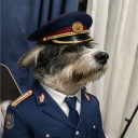 roberttx