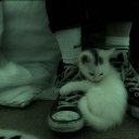 avatar 𝒜𝓃ℊℯ𝓁 ℬ𝓍𝒷𝓎