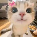 nerdizinho22