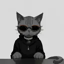 katzen1327 avatar