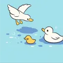 silly.duck avatar