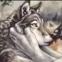 wildsages