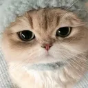 loudward__