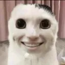 ytrammacfly