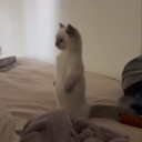 avatar 𝓛𝓸𝓼𝓽